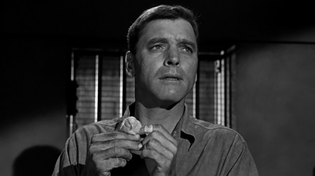 Alkatraz Kuşçusu Fotoğrafı