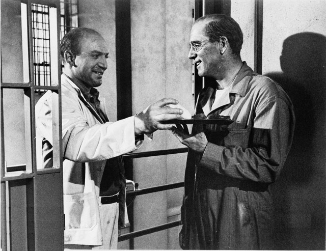 Alkatraz Kuşçusu Fotoğrafı