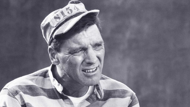 Alkatraz Kuşçusu Fotoğrafı