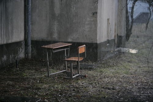 The Blue Bird Fotoğrafı