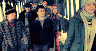 Harry Potter ve Zümrüdüanka Yoldaşlığı Fotoğrafı