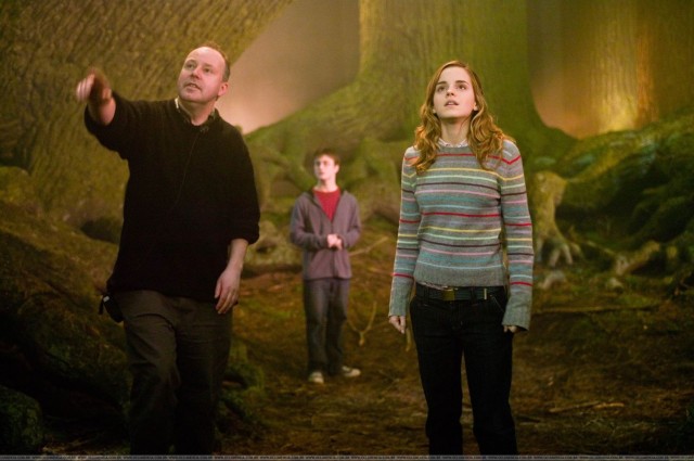 Harry Potter ve Zümrüdüanka Yoldaşlığı Fotoğrafı