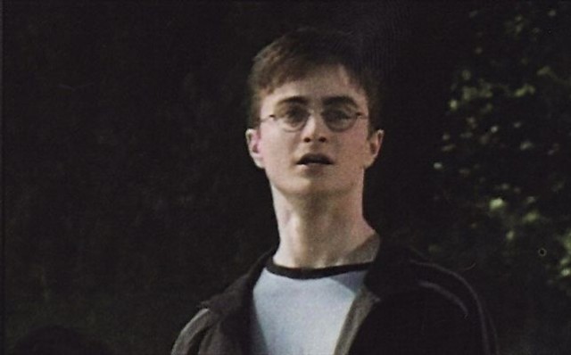 Harry Potter ve Zümrüdüanka Yoldaşlığı Fotoğrafı