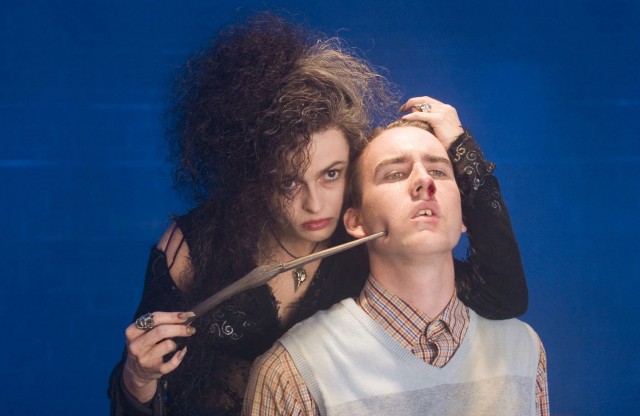 Harry Potter ve Zümrüdüanka Yoldaşlığı Fotoğrafı