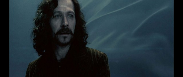 Harry Potter ve Zümrüdüanka Yoldaşlığı Fotoğrafı