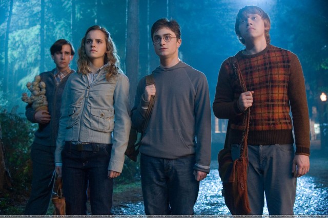 Harry Potter ve Zümrüdüanka Yoldaşlığı Fotoğrafı