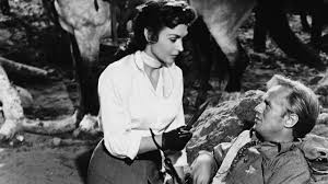 Backlash Fotoğrafı