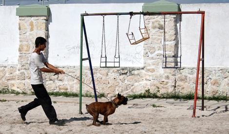 Tahoe Gölü Fotoğrafı