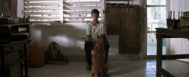 Tahoe Gölü Fotoğrafı