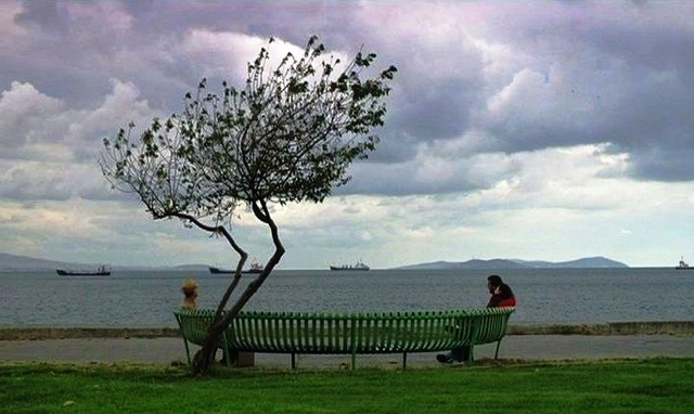 11'e 10 Kala Fotoğrafı