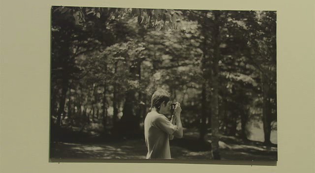 Cennet Ormanı Fotoğrafı