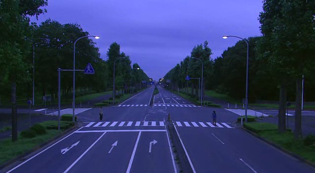 Cennet Ormanı Fotoğrafı