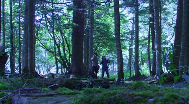 Cennet Ormanı Fotoğrafı