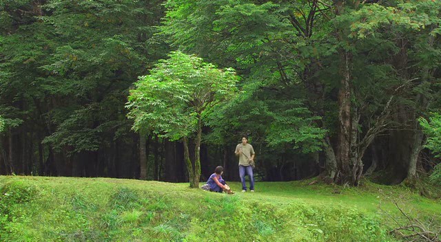 Cennet Ormanı Fotoğrafı