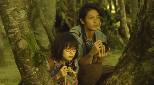 Cennet Ormanı Fotoğrafı