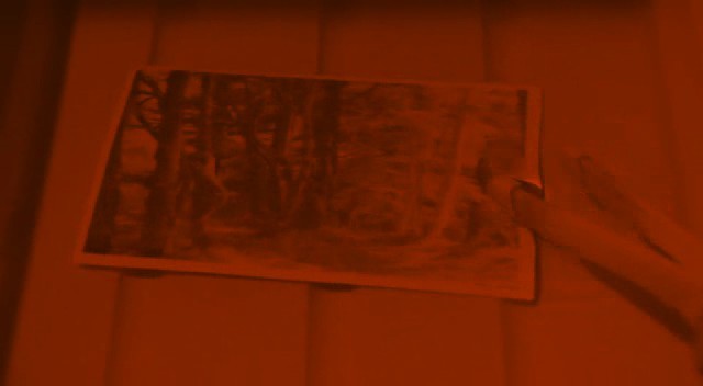 Cennet Ormanı Fotoğrafı