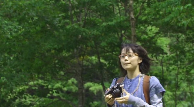 Cennet Ormanı Fotoğrafı