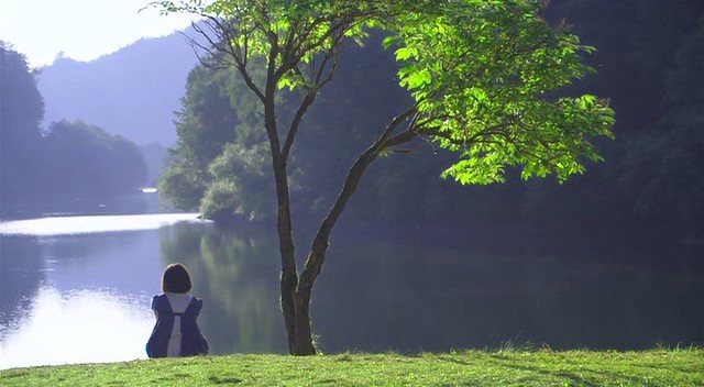 Cennet Ormanı Fotoğrafı