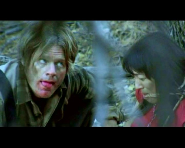 Haunted Forest Fotoğrafı