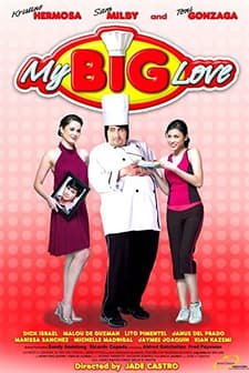 Big Love (2008) afişi