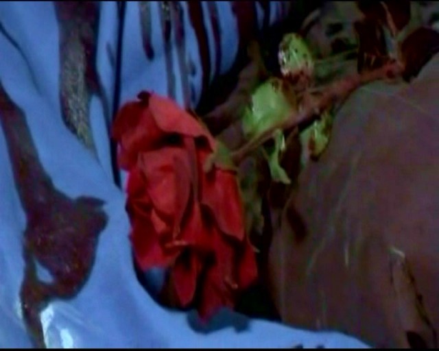 Ölüm Gülü Fotoğrafı