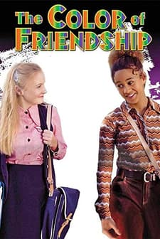 The Color Of Friendship (2000) afişi