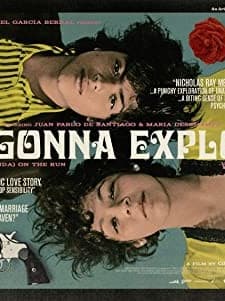 Şimdi Patlayacağım (2008) afişi