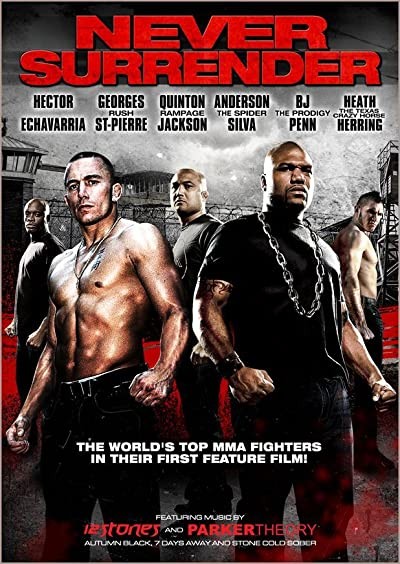 Asla Teslim Olma (2009) afişi