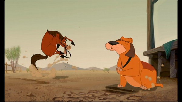 Kahraman İnekler Fotoğrafı