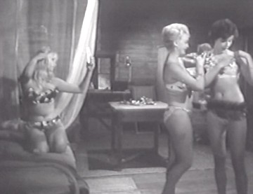 Örümcek Adasının Dehşeti Fotoğrafı