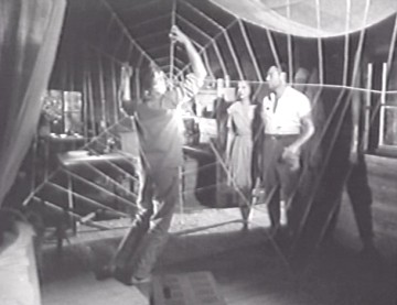 Örümcek Adasının Dehşeti Fotoğrafı