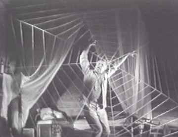 Örümcek Adasının Dehşeti Fotoğrafı