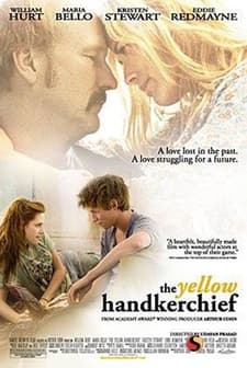 Sarı Mendil (2009) afişi