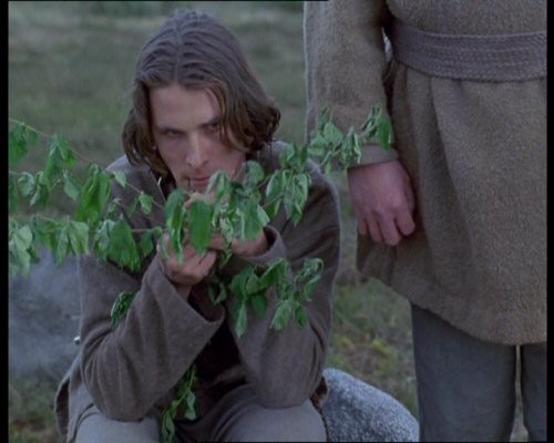 Prince of Jutland fotoğrafı