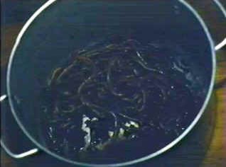 The Worm Eaters fotoğrafı