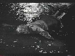 Werewolf ın A Gırls' Dormıtory Fotoğrafı