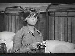 Werewolf ın A Gırls' Dormıtory Fotoğrafı