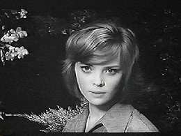 Werewolf ın A Gırls' Dormıtory Fotoğrafı