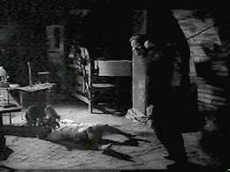 Werewolf ın A Gırls' Dormıtory Fotoğrafı