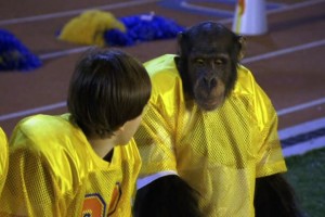 Çılgın Maymun Fotoğrafı