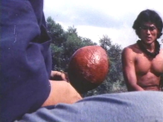 Raiders Of The Shaolin Temple Fotoğrafı