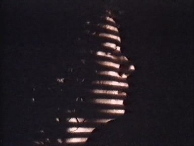 Dehşet Gecesi 2 Fotoğrafı