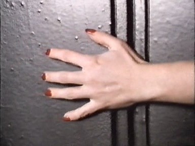 Dehşet Gecesi 2 Fotoğrafı