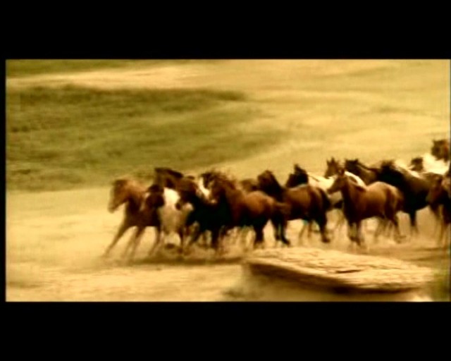 Düş Bekçisi Fotoğrafı