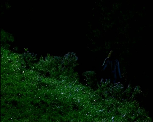 Dünya Haritası Fotoğrafı