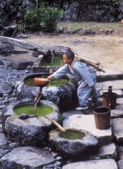 Küçük Bir Keşiş Fotoğrafı