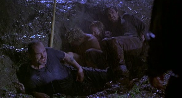 Homegrown fotoğrafı