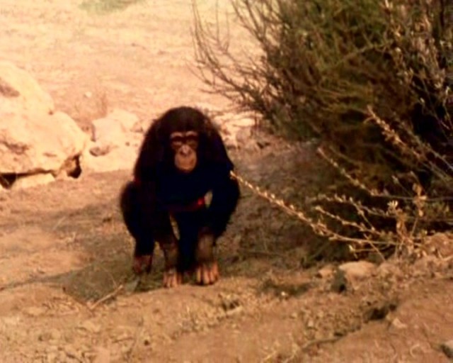 Motorsikletli çocuklar Fotoğrafı