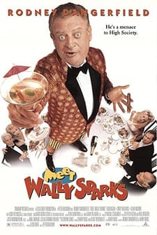 Meet Wally Sparks (1997) afişi