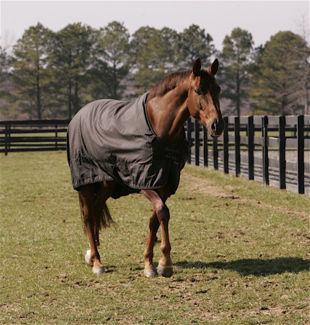 Cole Porter'ın Aşkı fotoğrafı
